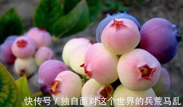 蜂王浆|女人刚过40老太快 医生建议 多吃这6种碱性食物, 补充雌激素!