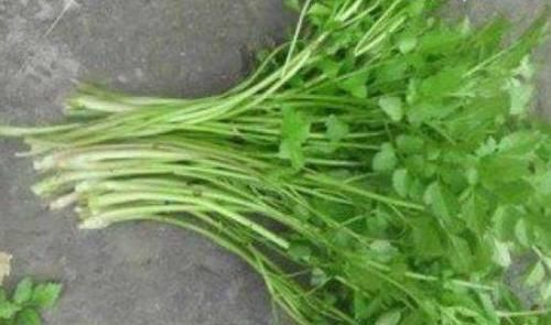 山珍海味末必健康，多吃3種食物，養肝解毒，清熱下火，提高視力