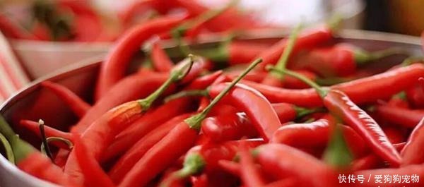 餐饮|做餐饮的,为何都做不过川菜