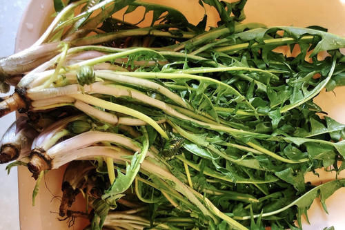 农村常见的4种野菜,总被误认为杂草,其实都是宝,调成馅可香了