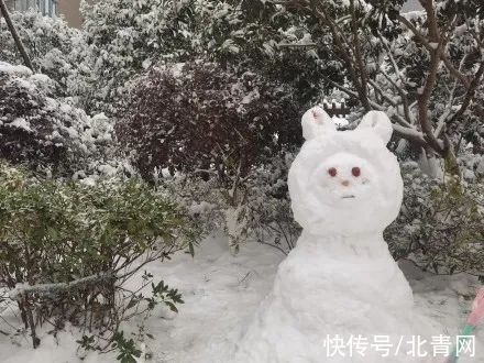 雪人#雪人大比拼，长沙人确实不走寻常路！特别是有位兽医的作品