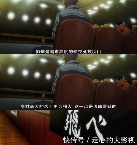 排球少|堪称近年来最强运动番大概这才是青春该有的样子!