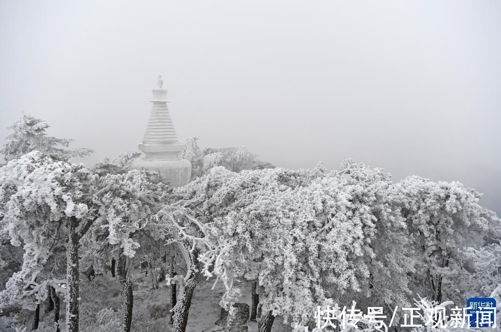 雪景|雪落庐山