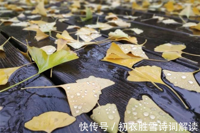 秋来！早秋秋雨美诗五首赏读：江湖经一雨，日月换新秋