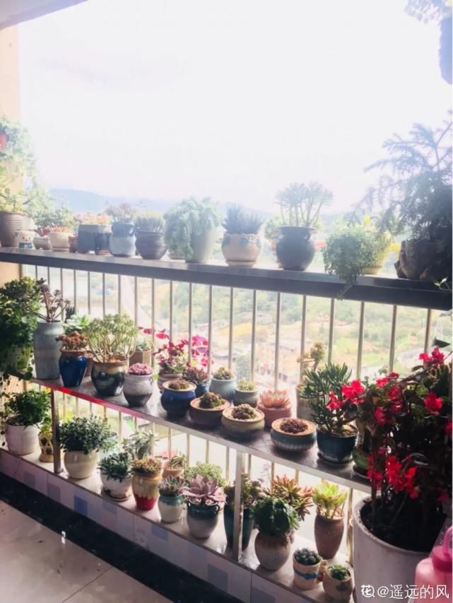 一入肉坑深似海，越养越上瘾