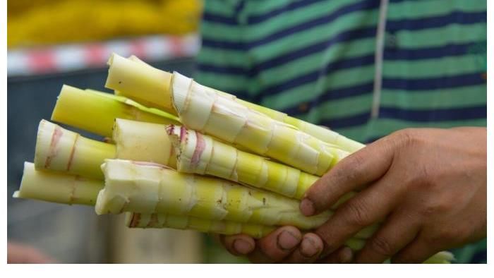 高手|吃一次等于10杯牛奶,“养骨高手”发现了,你若爱吃,骨骼日渐强壮