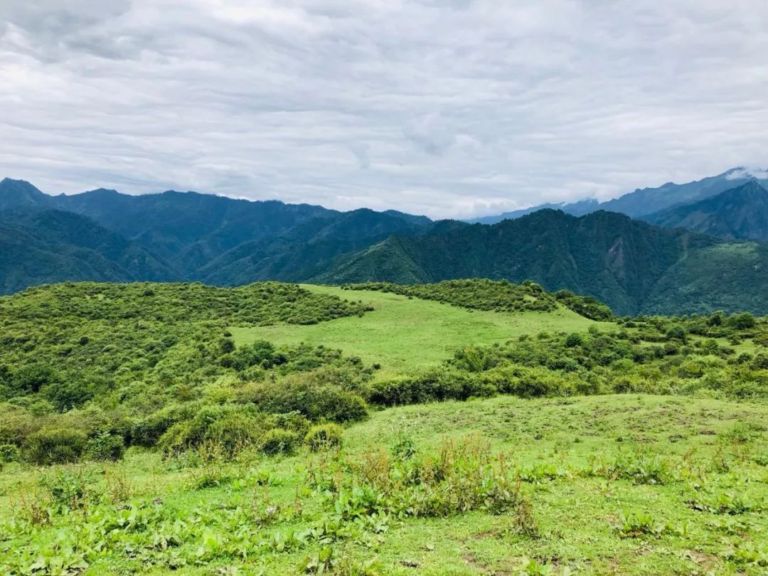 比甘海子還大的高山草場周邊好去處,拍照一鍵get風景:高山草場