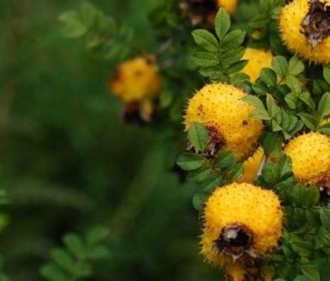 食物|想长寿全靠吃，推荐多吃3种食物，排毒养颜，补气补血，不妨一试