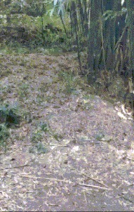 |搞笑GIF:这么拉风的造型,不摔倒真的对不起观众