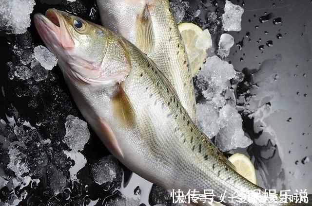 渔民|都是鲈鱼,海鲈鱼和淡水鲈鱼有何不同老渔民区别大了,别买错