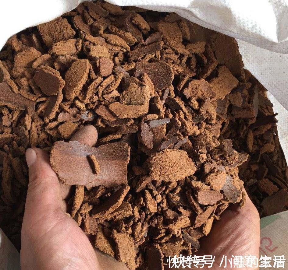 垃圾|家里有这3种东西不要扔,你以为是垃圾,可它们是植物最好的肥料