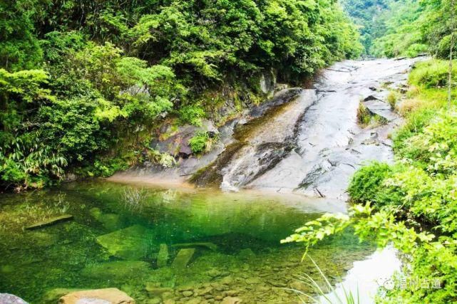 镇海|这条美如童话世界的温州野花古道，春日里必走一次！