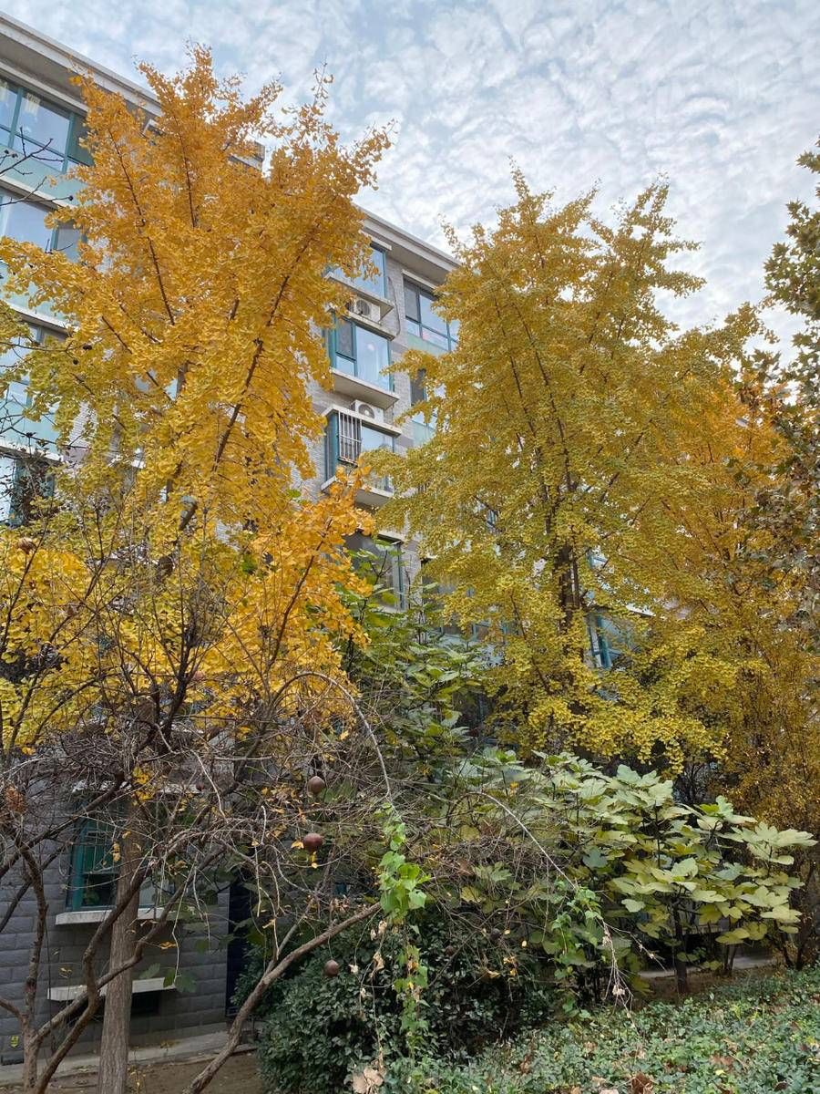 青未了|荒芜中照见的美好