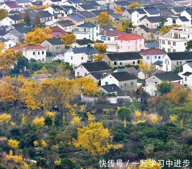 苏州人的宝岛秘境，美成仙境，却被时光遗忘！