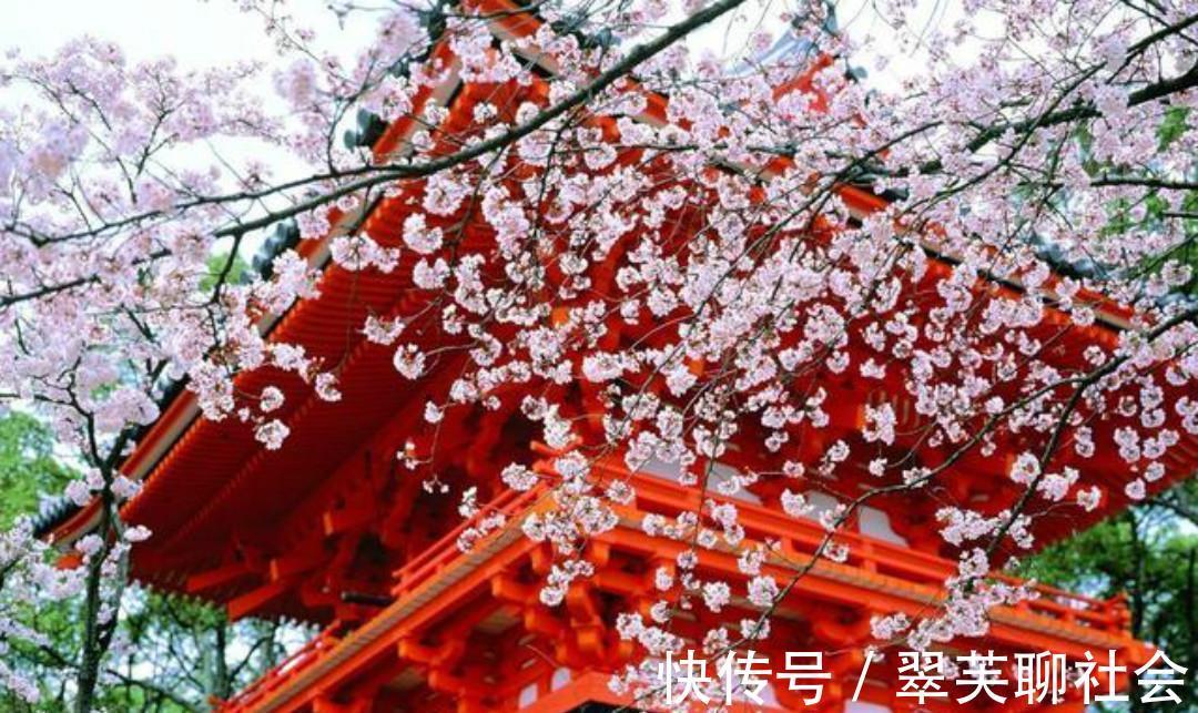 落花$清初大诗人施闰章一首《山行》,同样写得很美,山野春景如诗如画