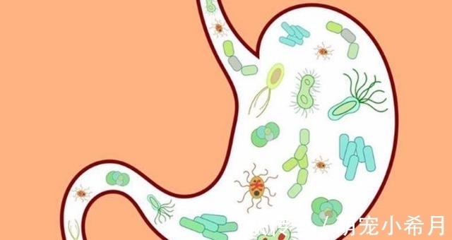 确诊|45岁男子确诊胃癌离世，生前不沾烟酒，却把这1种“素菜”当“饭”吃