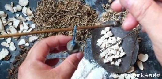 换血|“长寿药”续命:156万“买药”,28万“换血”?长寿属于富人?