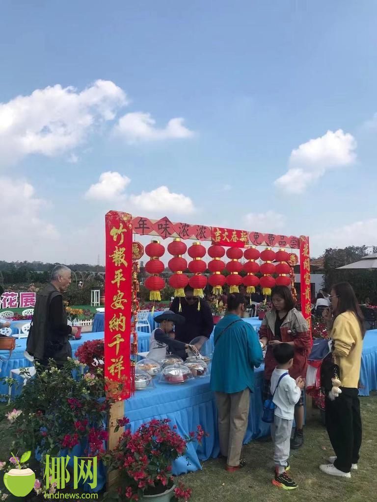 花海、碧波……春节假期，海口琼山区这些景点大受欢迎！