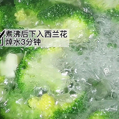 虾仁|西兰花炒虾仁