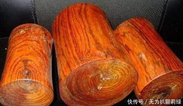 中国最“珍贵”的树,1公斤卖到9000元,曾经还被人当柴火烧