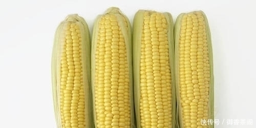 别人用玉米钓鲤鱼连竿,自己这里却没有口,原来问题出现在这里!