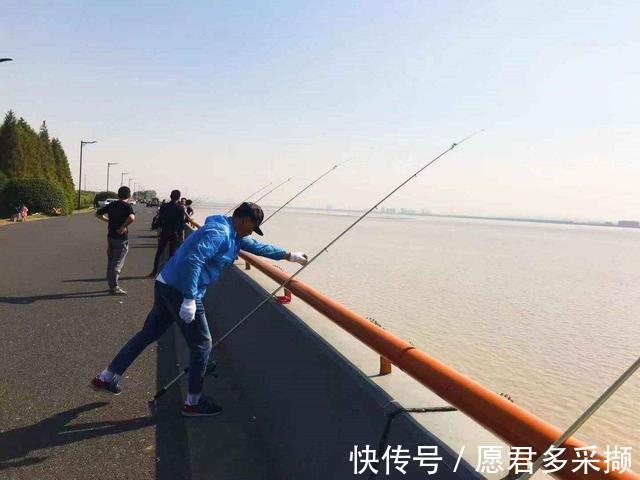 钓鱼人留意,违法钓鱼最高罚十万,搞清楚下竿比较好