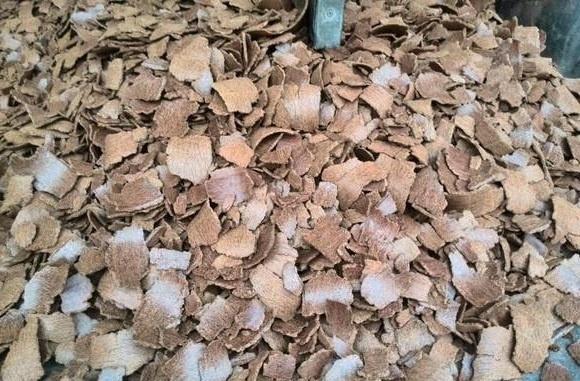 钓鱼除了商品饵料外，自制饵料也不错，这些配方送给你，请记牢