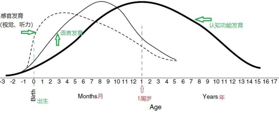 家长|哈佛研究表明：孩子的大脑发育高峰期一生只有3次，家长请抓住