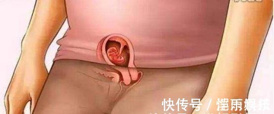 怀胎|宝宝是怎么被慢慢孕育出来的,十张过程图,一切来之不易