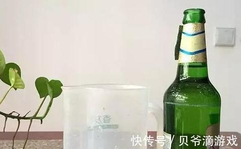 盆土板结怎么办，教你学4招，土壤松软如面包，快瞧瞧吧