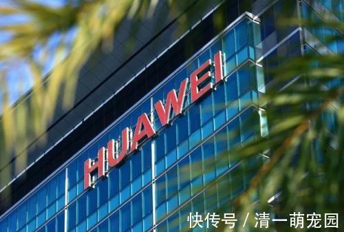 oppo|华为不是第一了:国内手机市场风云突变,线下市场成核心厮杀战场