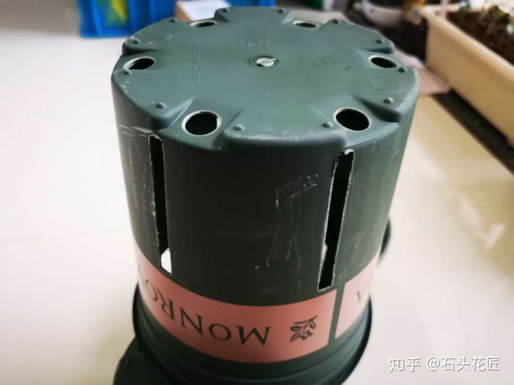 养花总是“烂根”,学会4个“科学”方法,家里绿植“嗖嗖长”