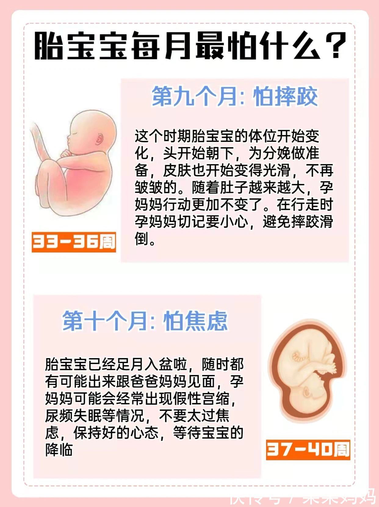 分娩|准妈妈必看孕十月胎儿发育特点及注意事项