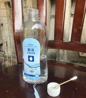 花盆里有蚧壳虫喷一喷,埋点药,蚧壳虫一网打尽