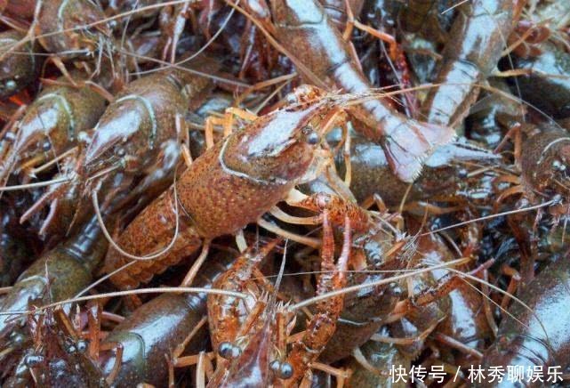  美味|夏天遇到“此肉”别吝啬，买20斤放冰箱里，随时吃都超美味！