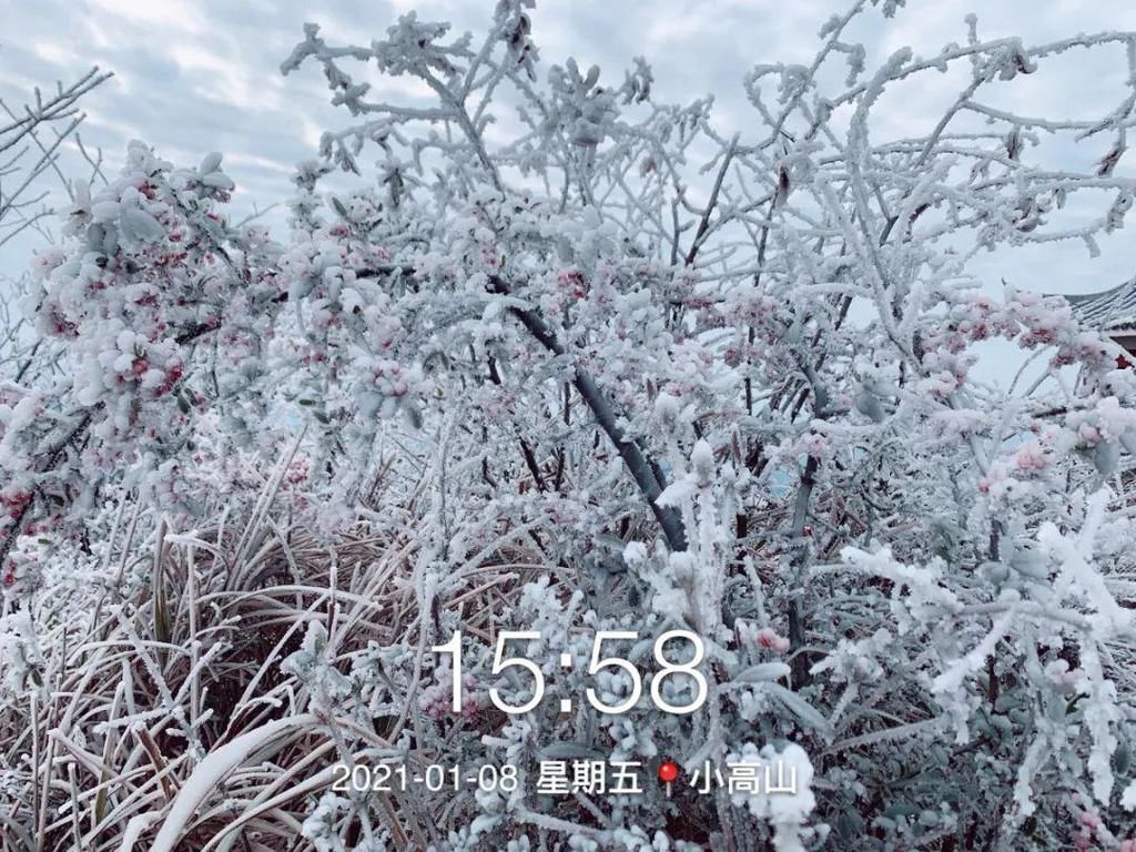 下雪天，凯里小高山的风景好美哦！