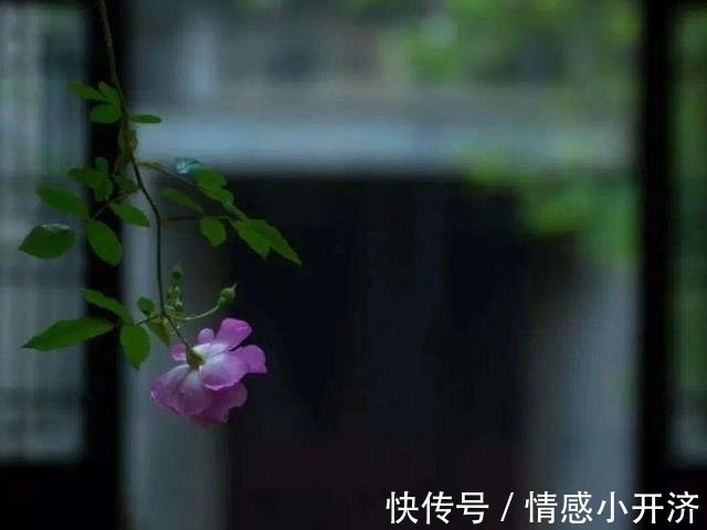 人生路|爷爷说:为人处世,这四件事是“杀人不见血的刀”,要放下