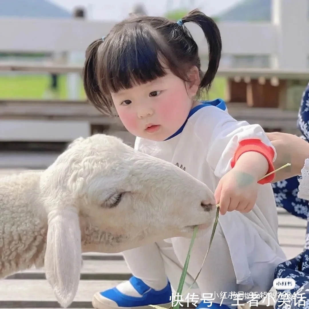 丸子妹太可爱了,当头像吧~