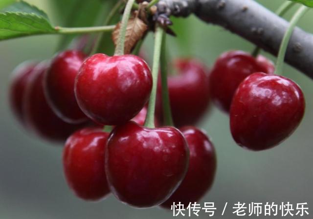 苏打饼干|高尿酸患者,医生提醒:常吃3种碱性食物,或可稳定尿酸