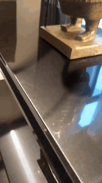 |搞笑GIF:这是哪一路公交车,司机这么漂亮,我也要去坐