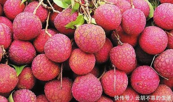 水分|医生从不吃的4种水果,再馋也要忍住,越吃”湿气“越重