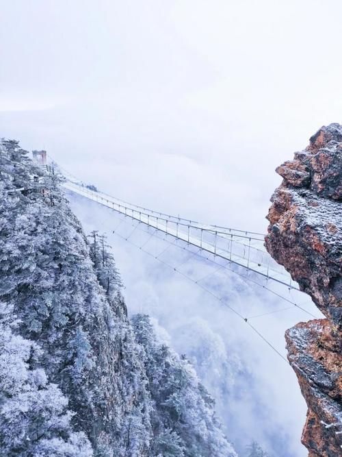 雾凇|点赞破百万的世界级雪景！雾凇云海，仿佛“误入天宫”，这里早该火了！