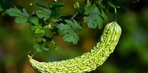 气色|秋天吃了变好的食物，平时多吃，皮肤变好，气色好了，人人说好