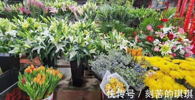 美翻!送上一份济南宝藏花卉市场指南,冬日一半的浪漫都在这里!