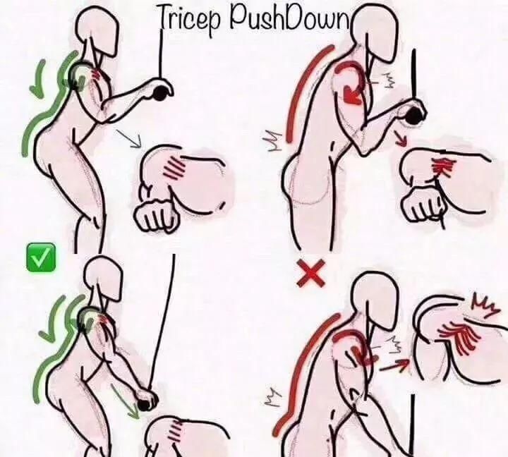 绳索|健身健身房最容易做错的8个动作,动作正确效果翻倍