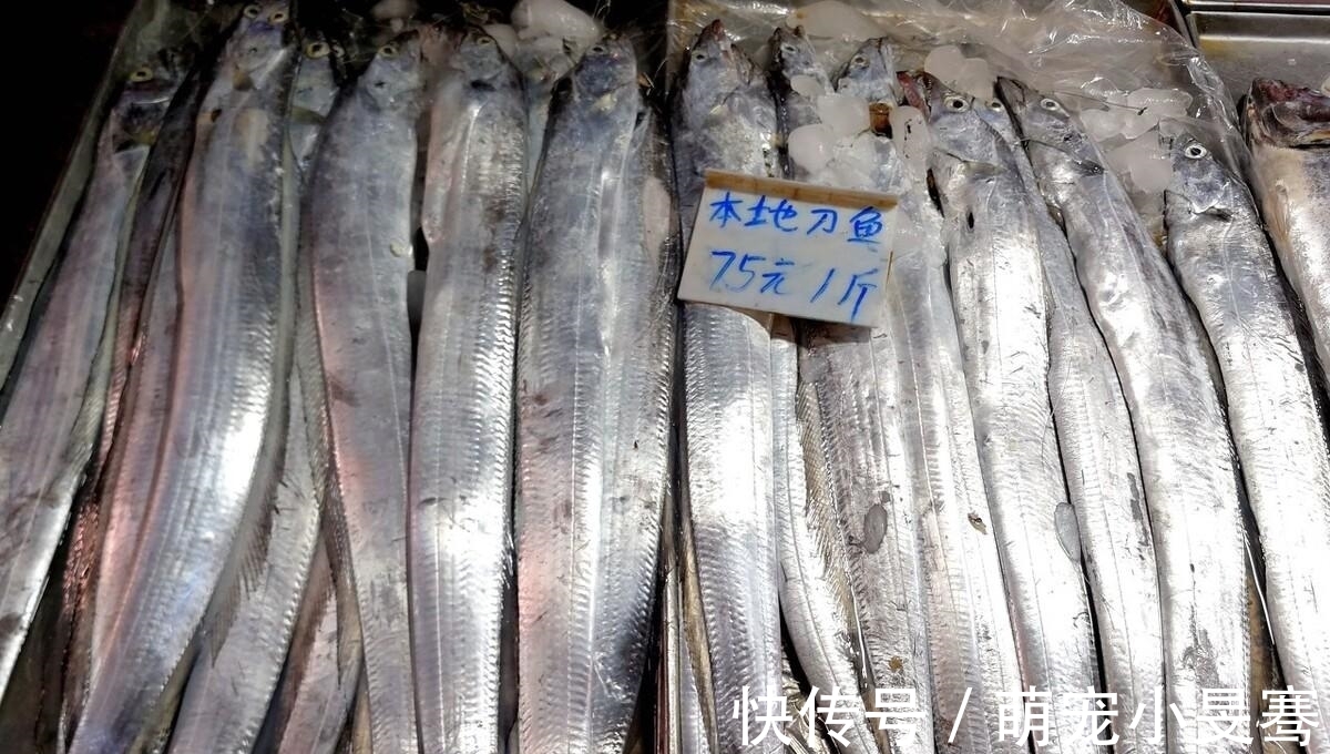 买带鱼时,记住选择“三小一厚”,条条细嫩鲜美,鱼腥味小