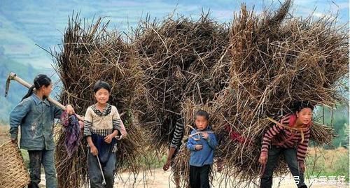 13岁男孩已是5个孩子的“爸”,常躲树下偷偷哭,原因让人心酸