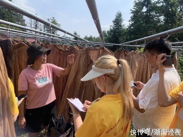 辰溪县|大学生暑期“三下乡”：设计溯源乡野 文化焕新出彩