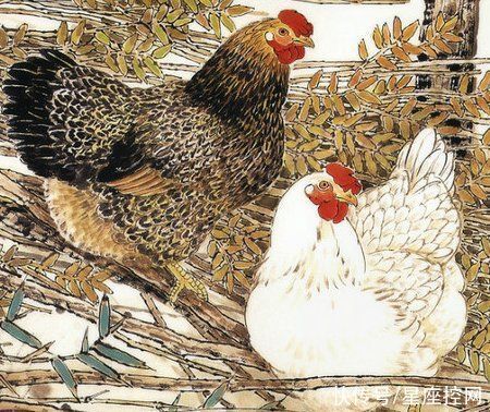 人性格|下半年不再瞎操心,前有贵人,后有明路,赚钱效率大增的生肖