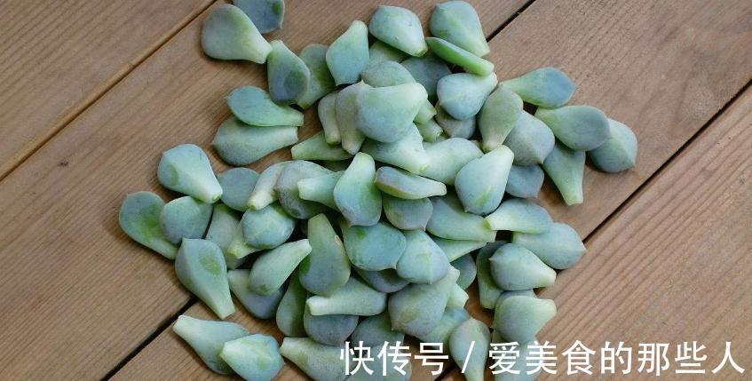 学会叶插，让多肉一盆变多盆，再也不用去外面买多肉了